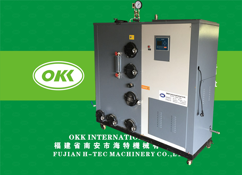 Biomass steam generator